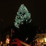 SAPIN PUTEAUX 