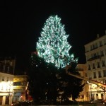 SAPIN PUTEAUX 